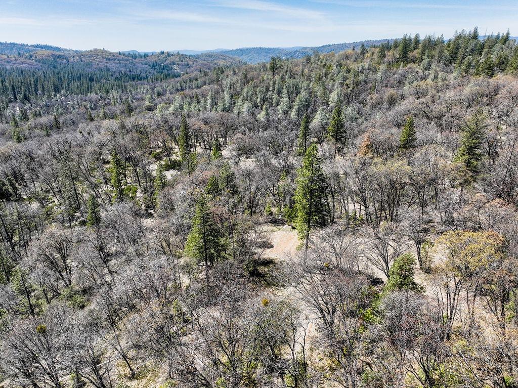 Kuntz Court, Nevada City, California image 3