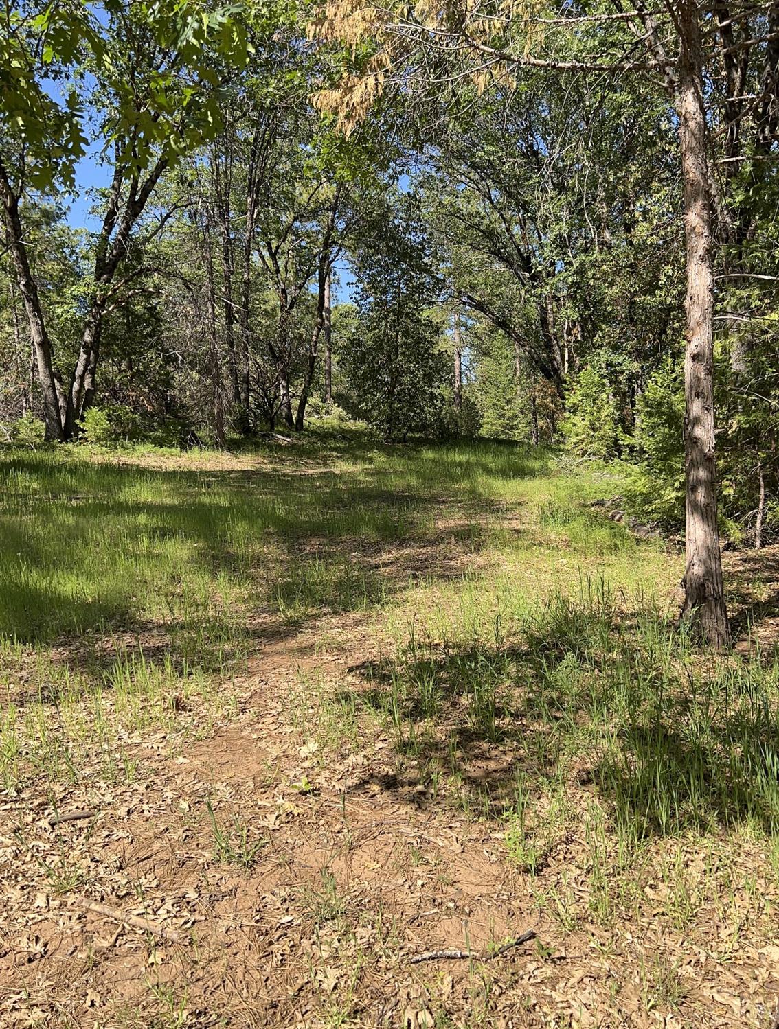 Kuntz Court, Nevada City, California image 14