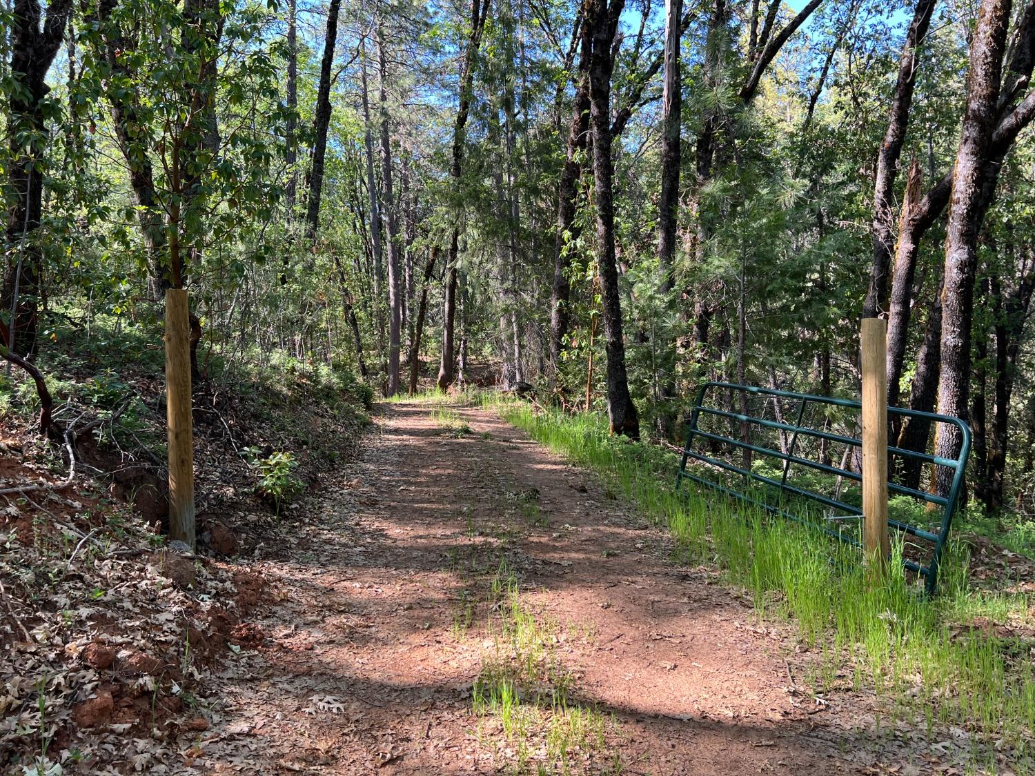 Kuntz Court, Nevada City, California image 7