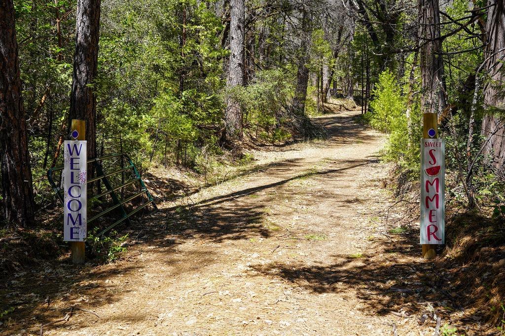 Kuntz Court, Nevada City, California image 6