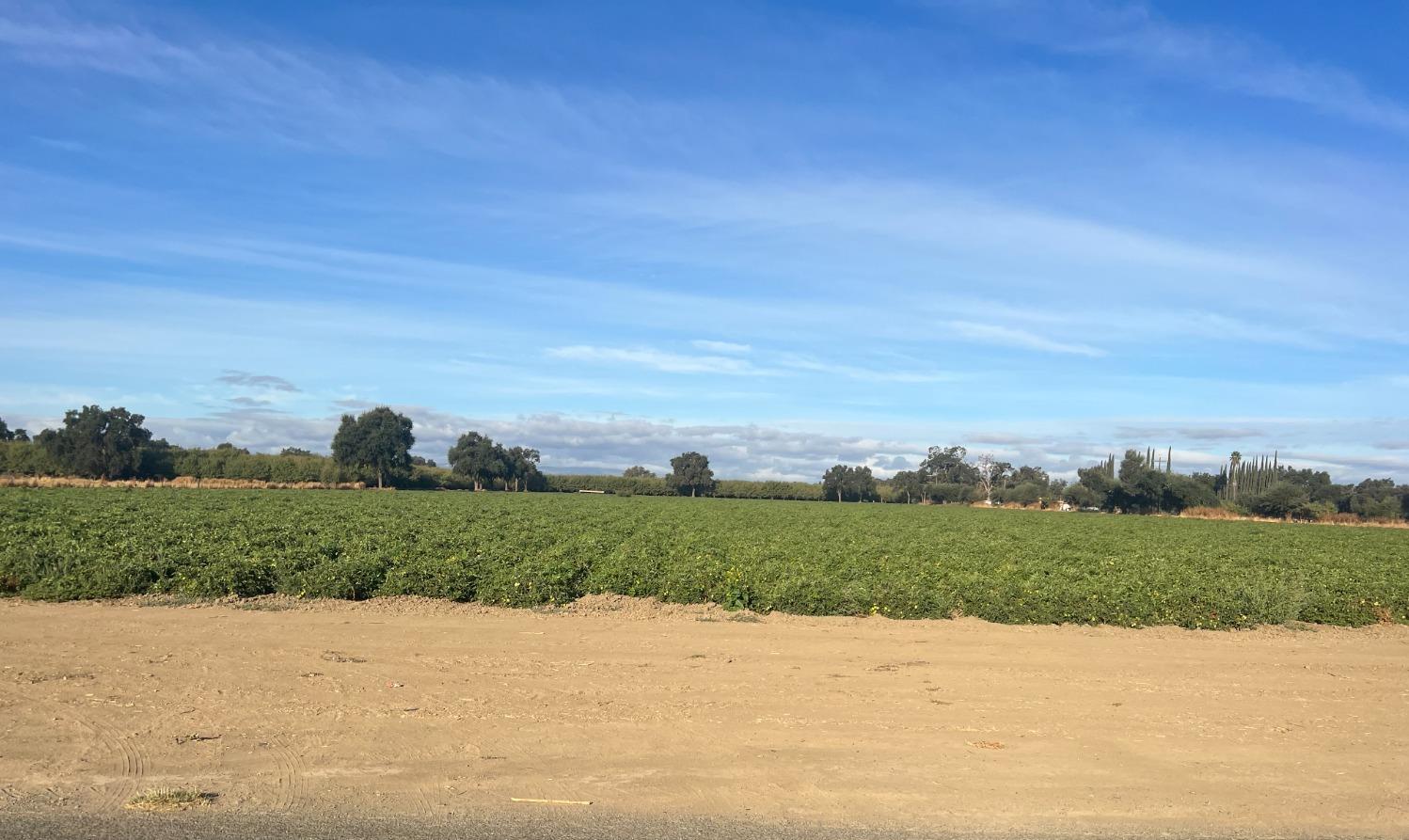 Photo of County Rd 97 in Woodland, CA