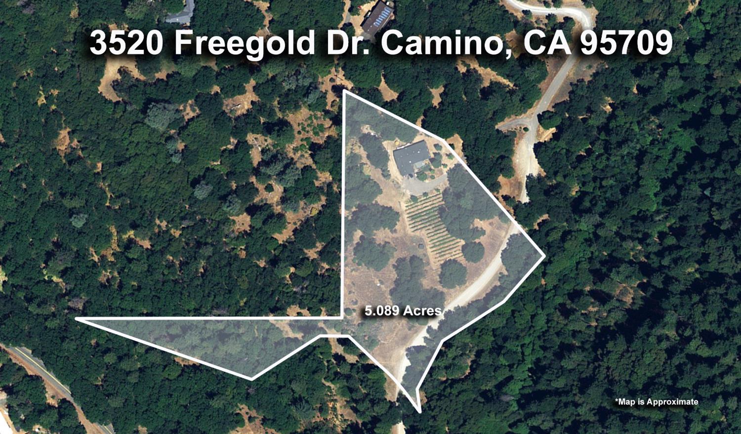 Freegold Drive, Camino, California image 31