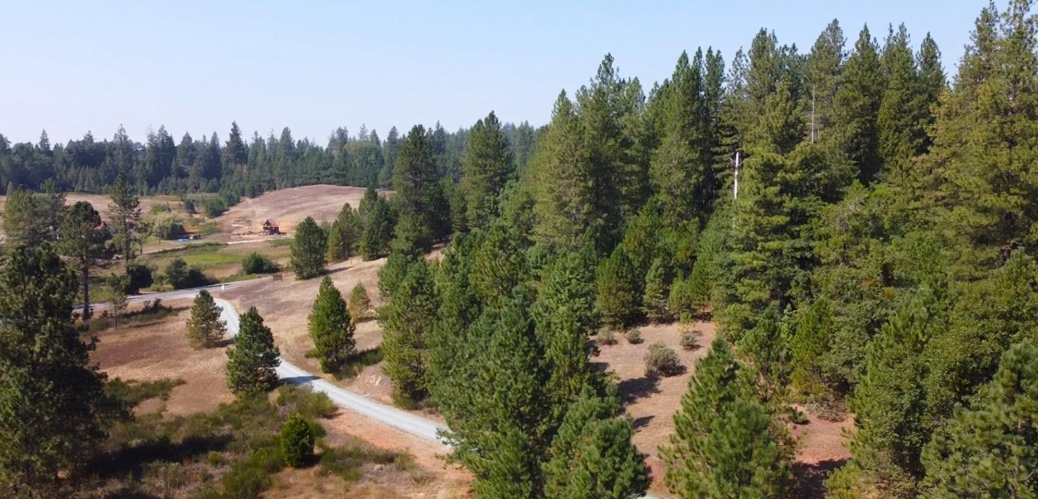 State Highway 193, Garden Valley, California image 11