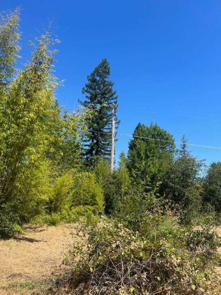 Photo of 7217 Treeline Ct in Granite Bay, CA