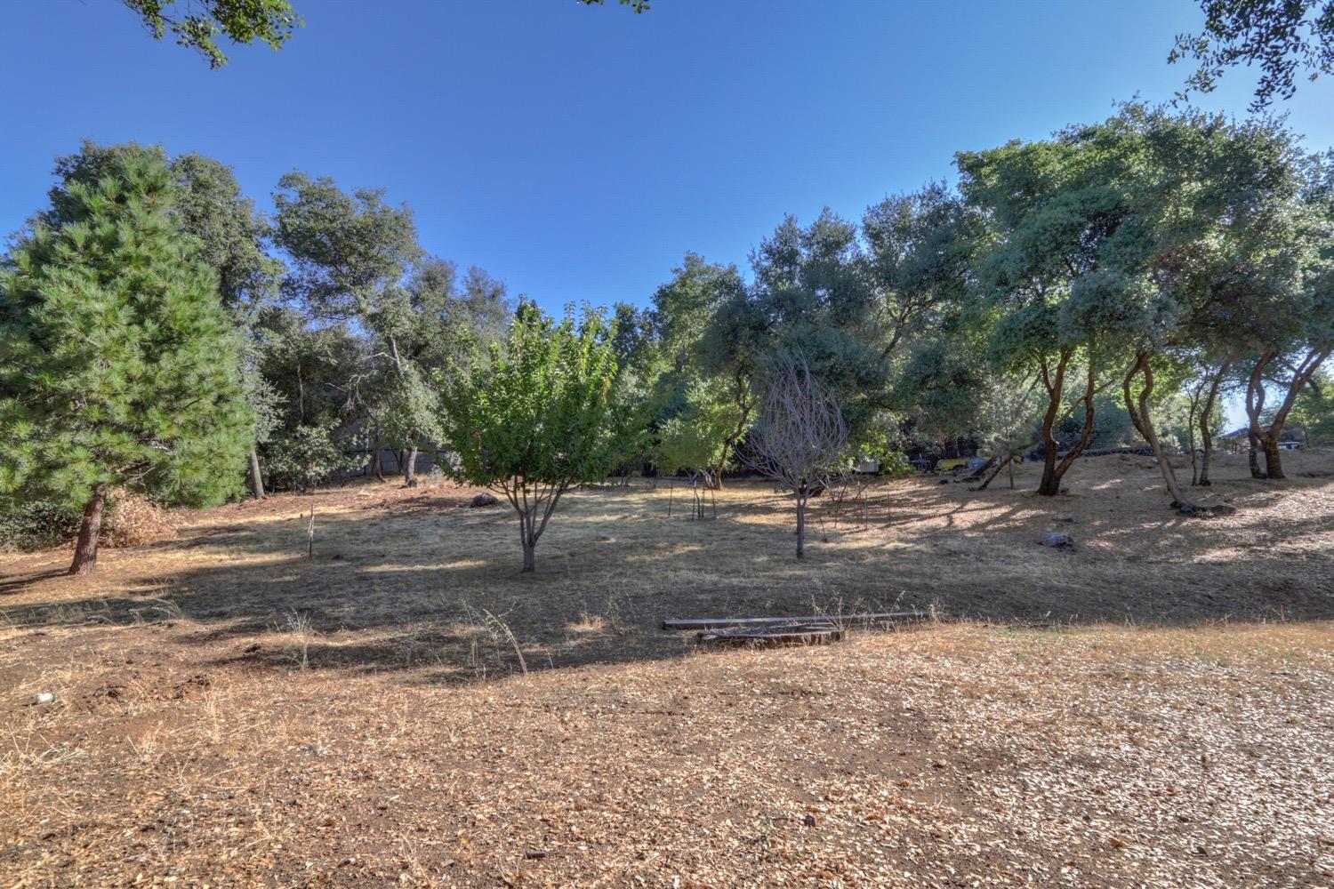 Trotter Lane, Shingle Springs, California image 18