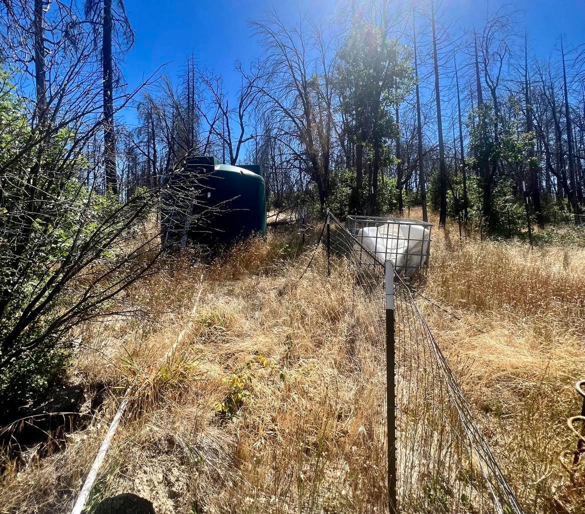 Simpson Ranch Road, Berry Creek, California image 9