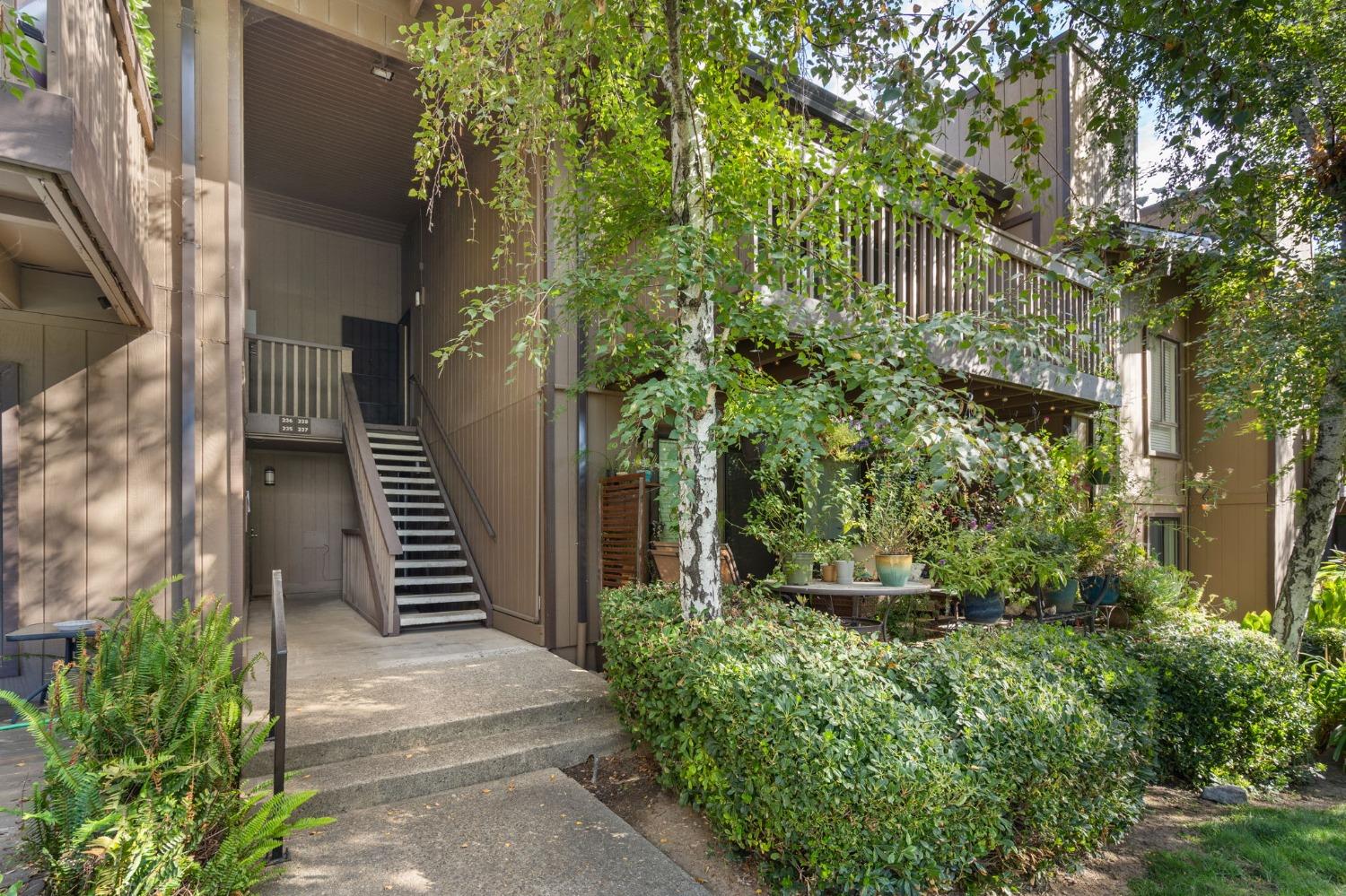 Photo #2: 223093815 Listing 