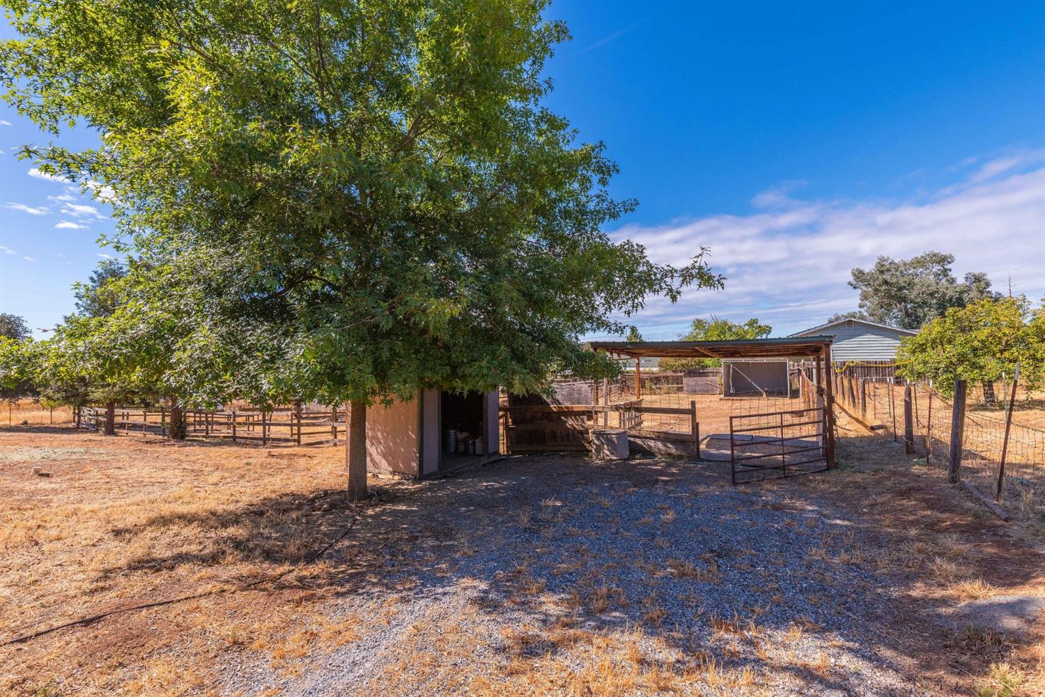 Mitchell Lane, Valley Springs, California image 10