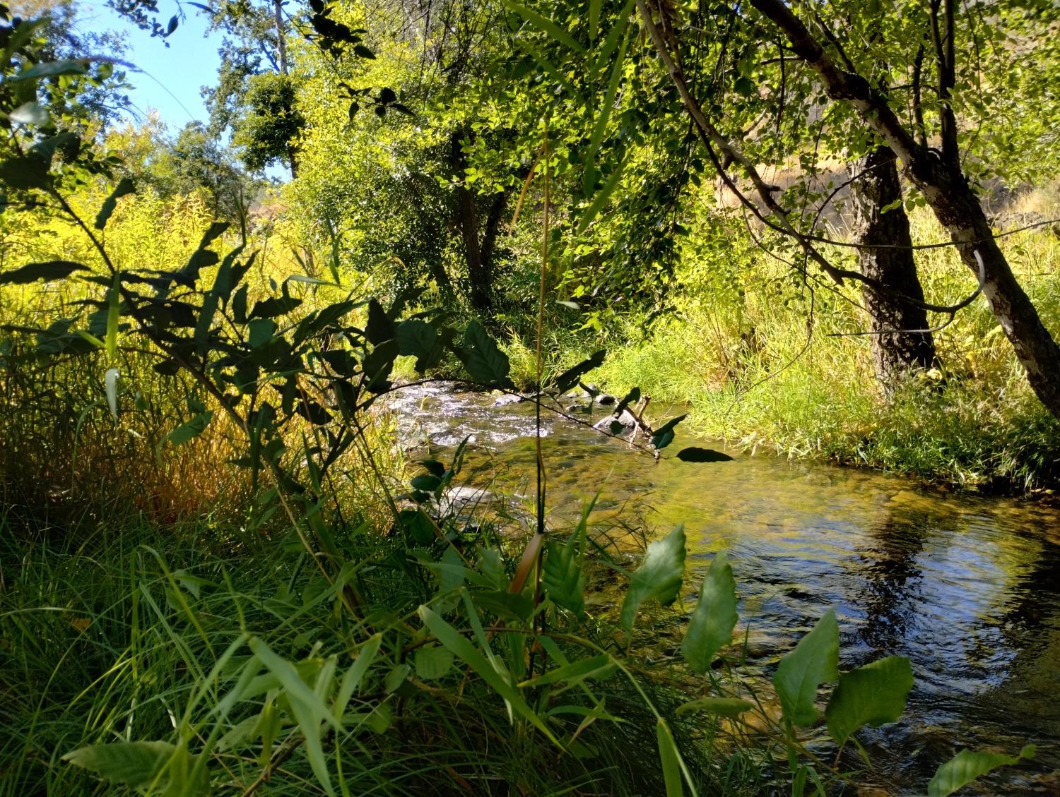 Photo of 22098 Jennifer Dr in Grass Valley, CA