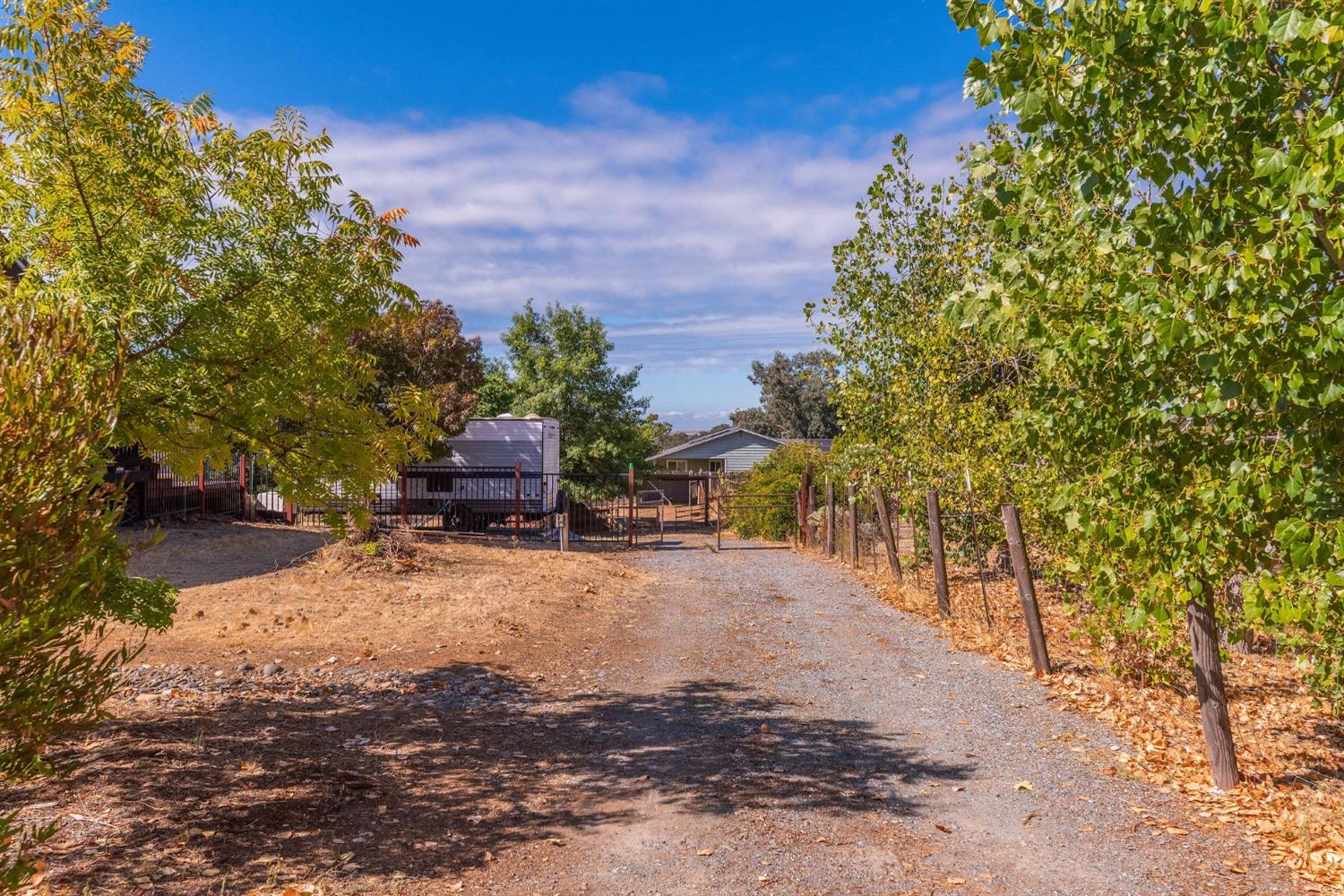 Mitchell Lane, Valley Springs, California image 11