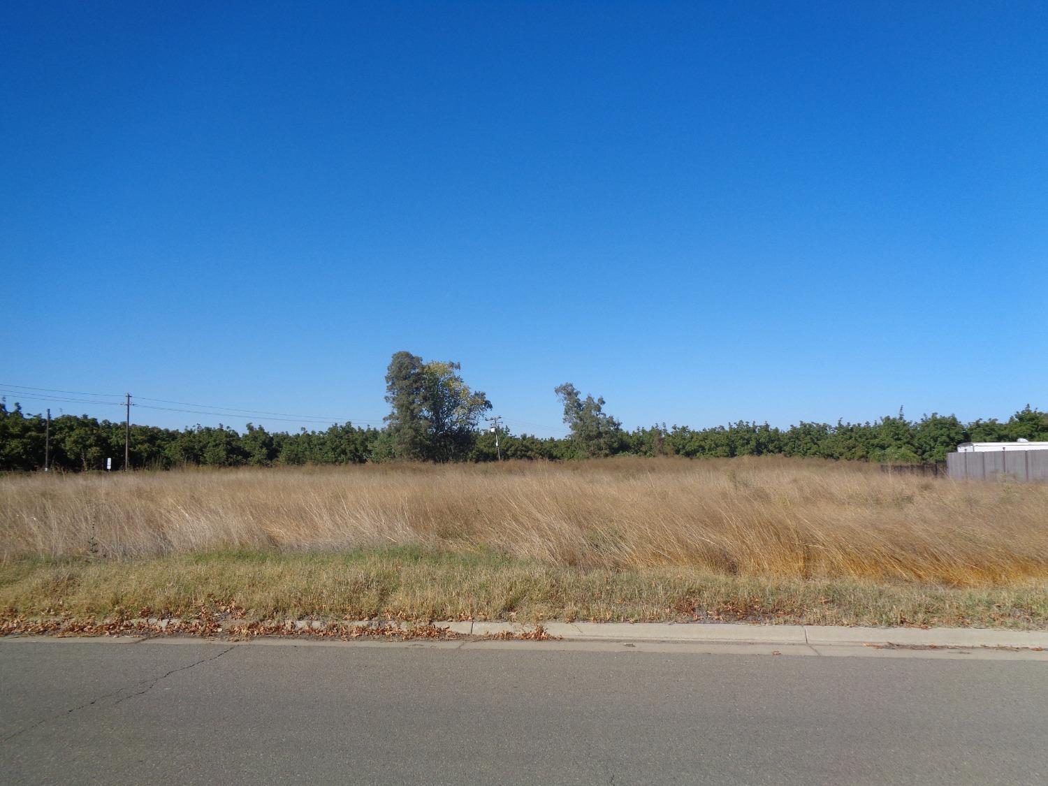 Photo of 160 Lee Rd in Nicolaus, CA