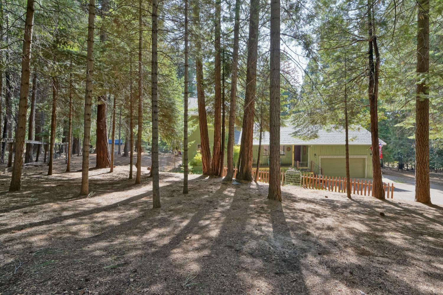 Chickaree Lane, Pollock Pines, California image 32