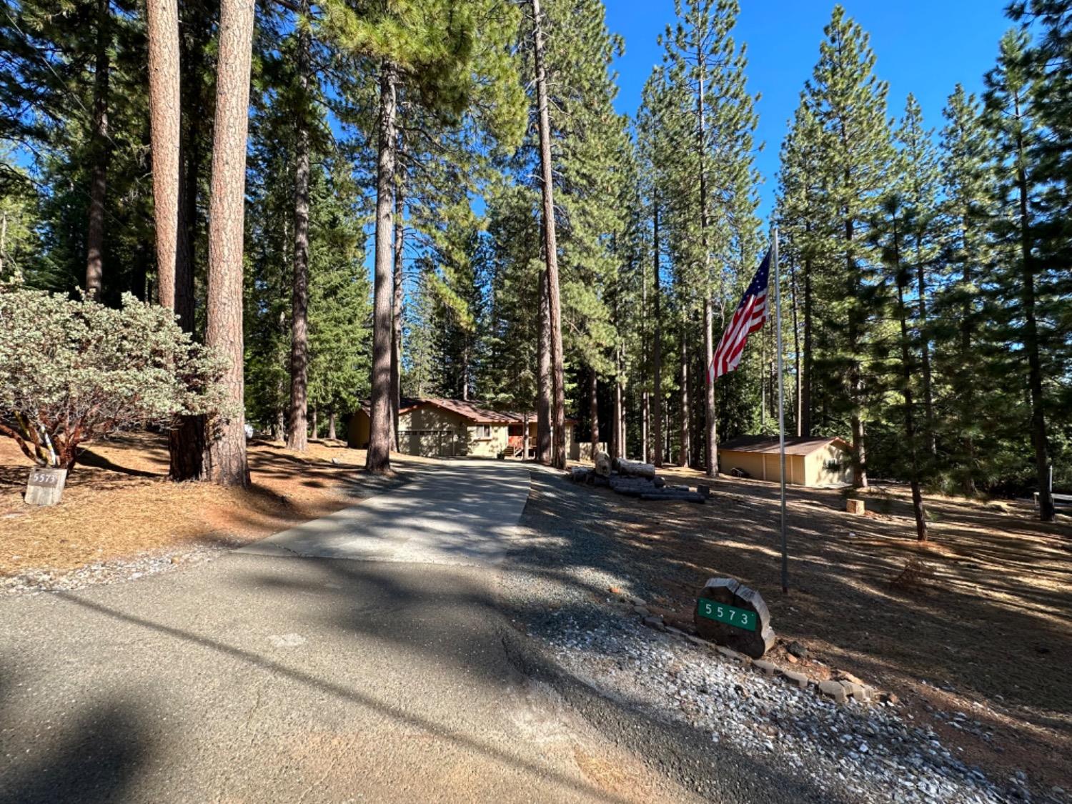 5573 Wildrose Drive, Grizzly Flats, CA 95636