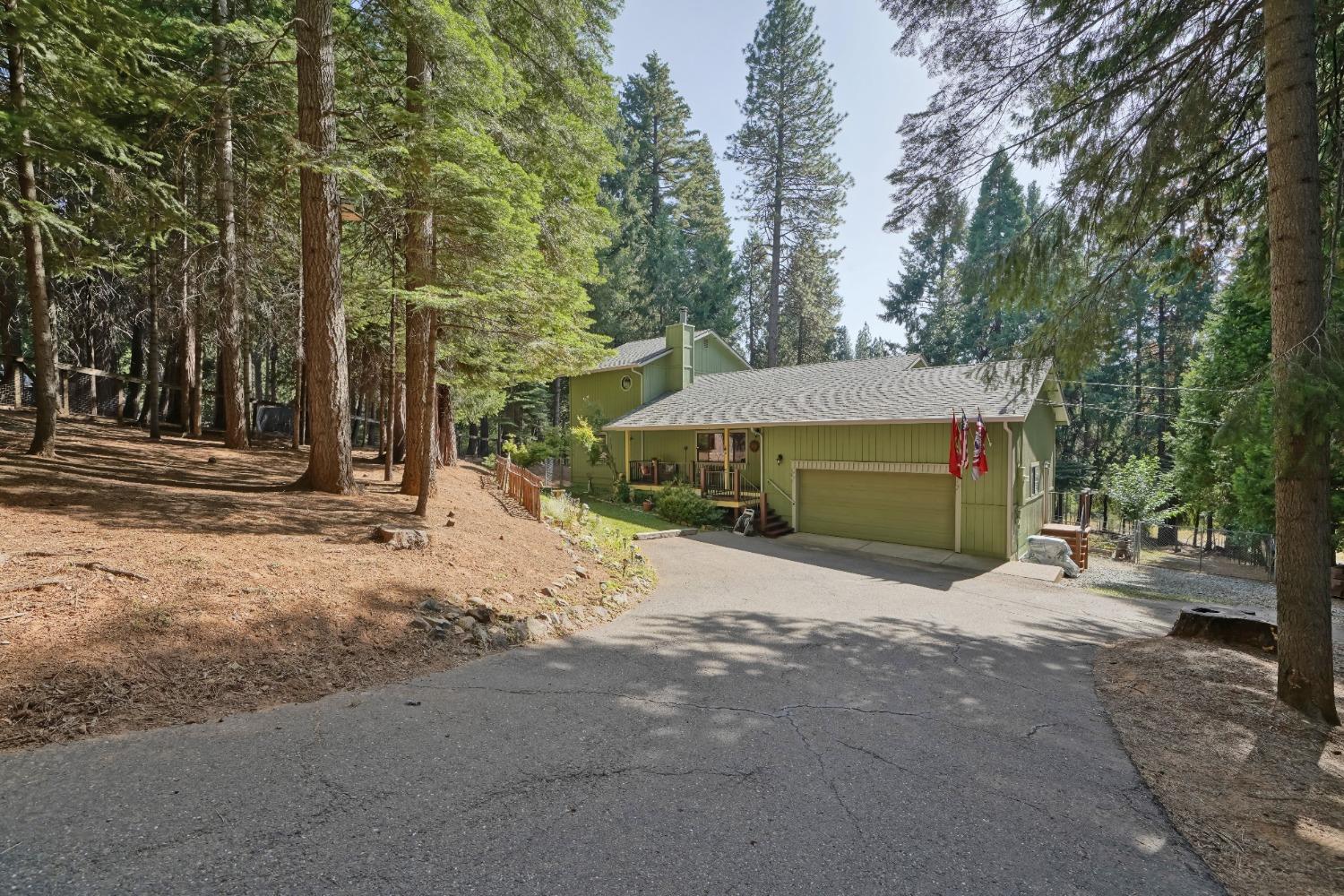 Chickaree Lane, Pollock Pines, California image 3