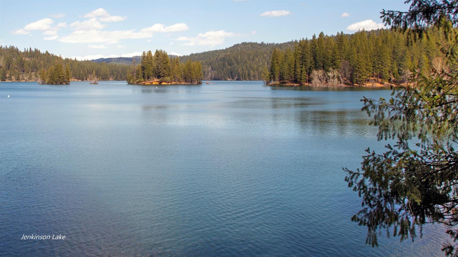 TBD Emerald Forest, Pollock Pines, California image 3