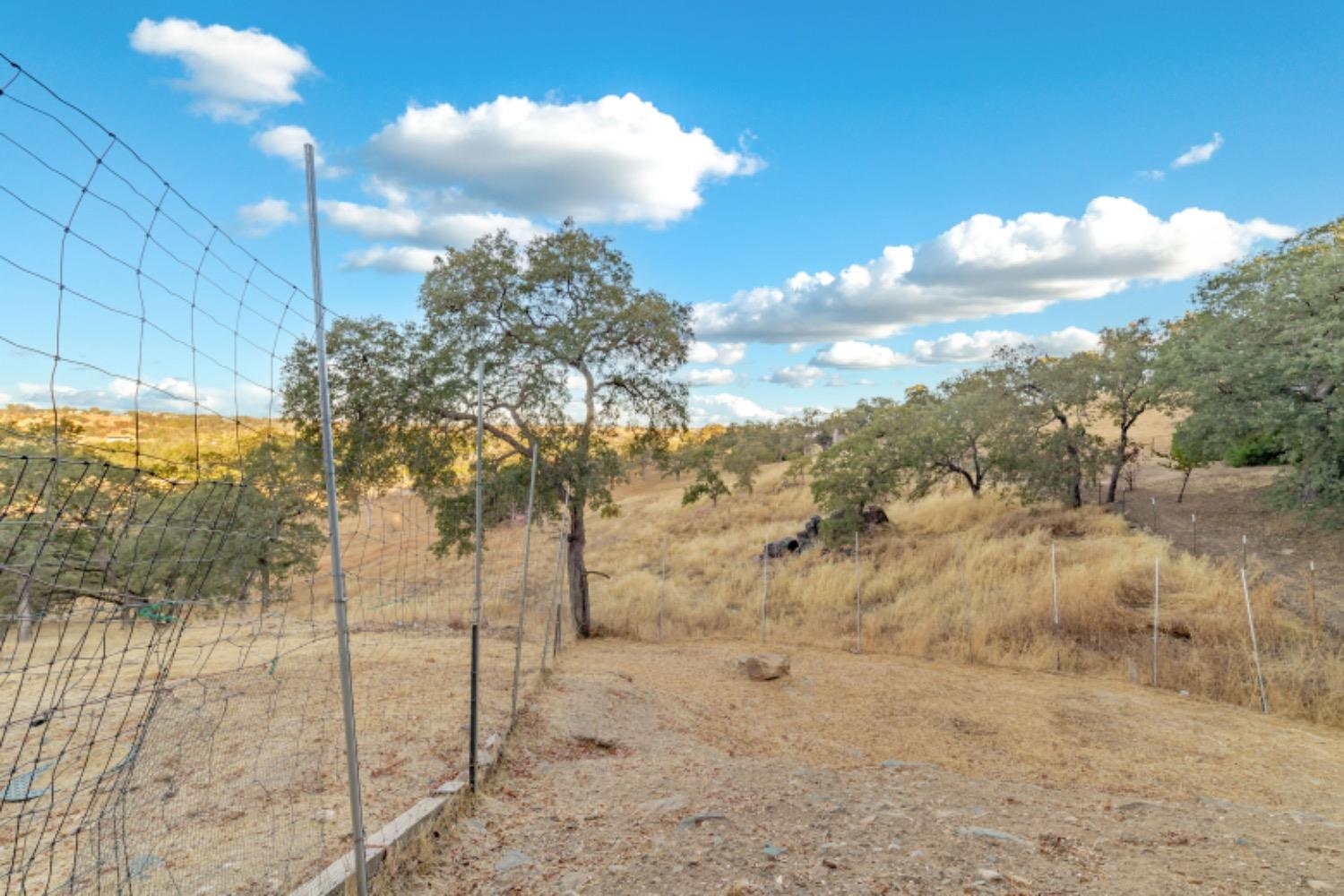 Heinemann Drive, Valley Springs, California image 30