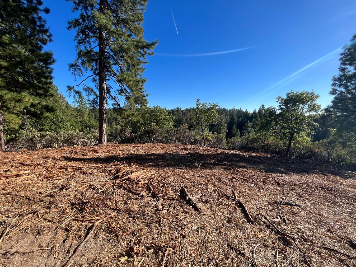 Photo of Centennial Ln in Placerville, CA