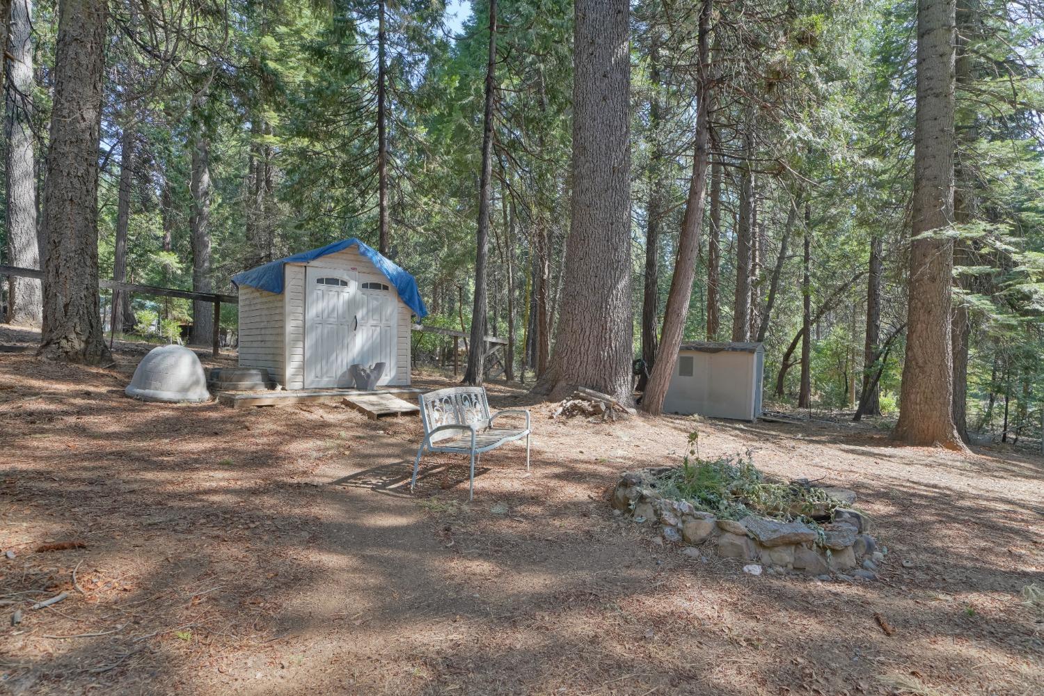 Chickaree Lane, Pollock Pines, California image 30