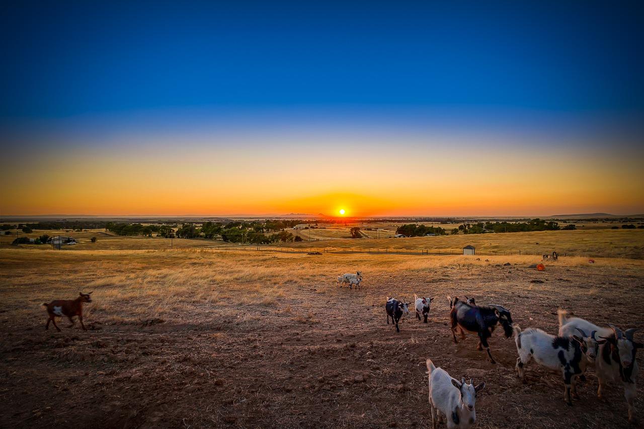 Hokan Lane, Wheatland, California image 41