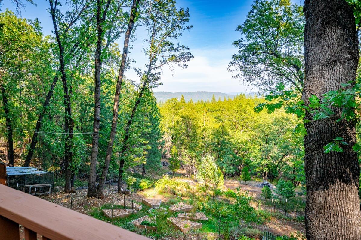Photo of 11337 Golden Oaks Ct in Nevada City, CA