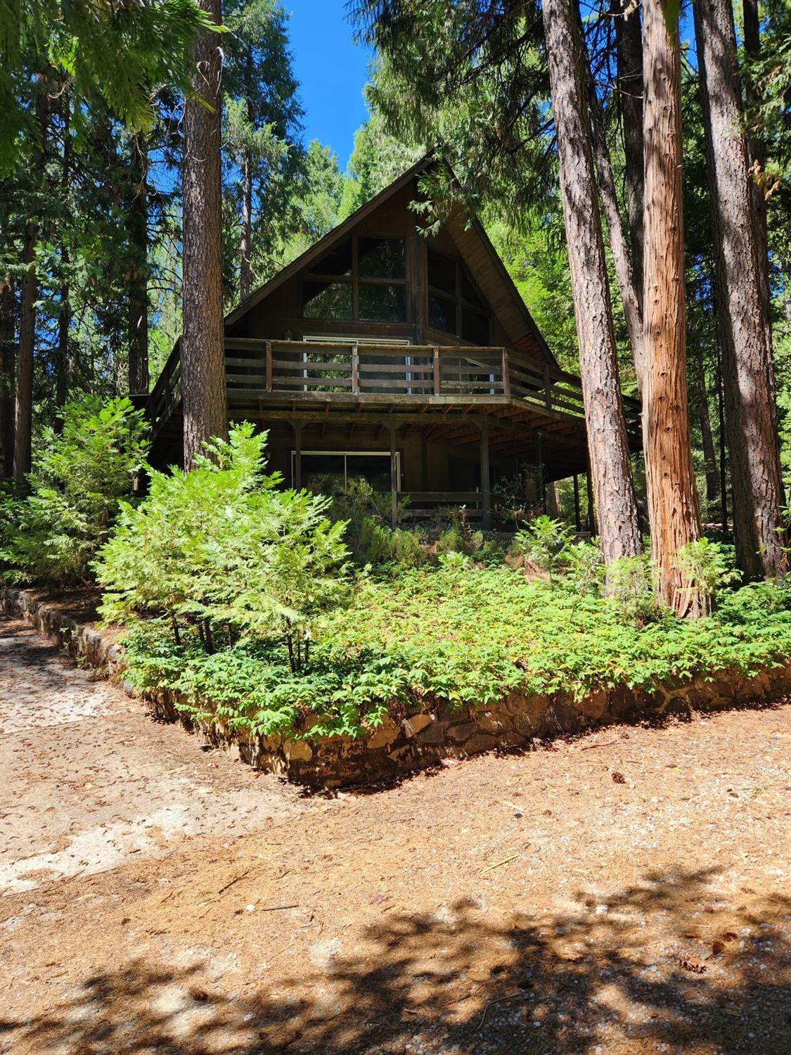 Photo of 26015 Meadow Dr in Pioneer, CA