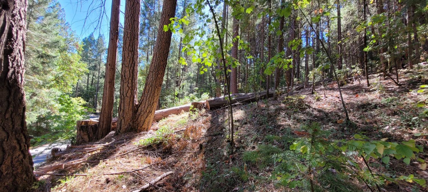 Photo of 11705 Banner Mountain Trl in Nevada City, CA