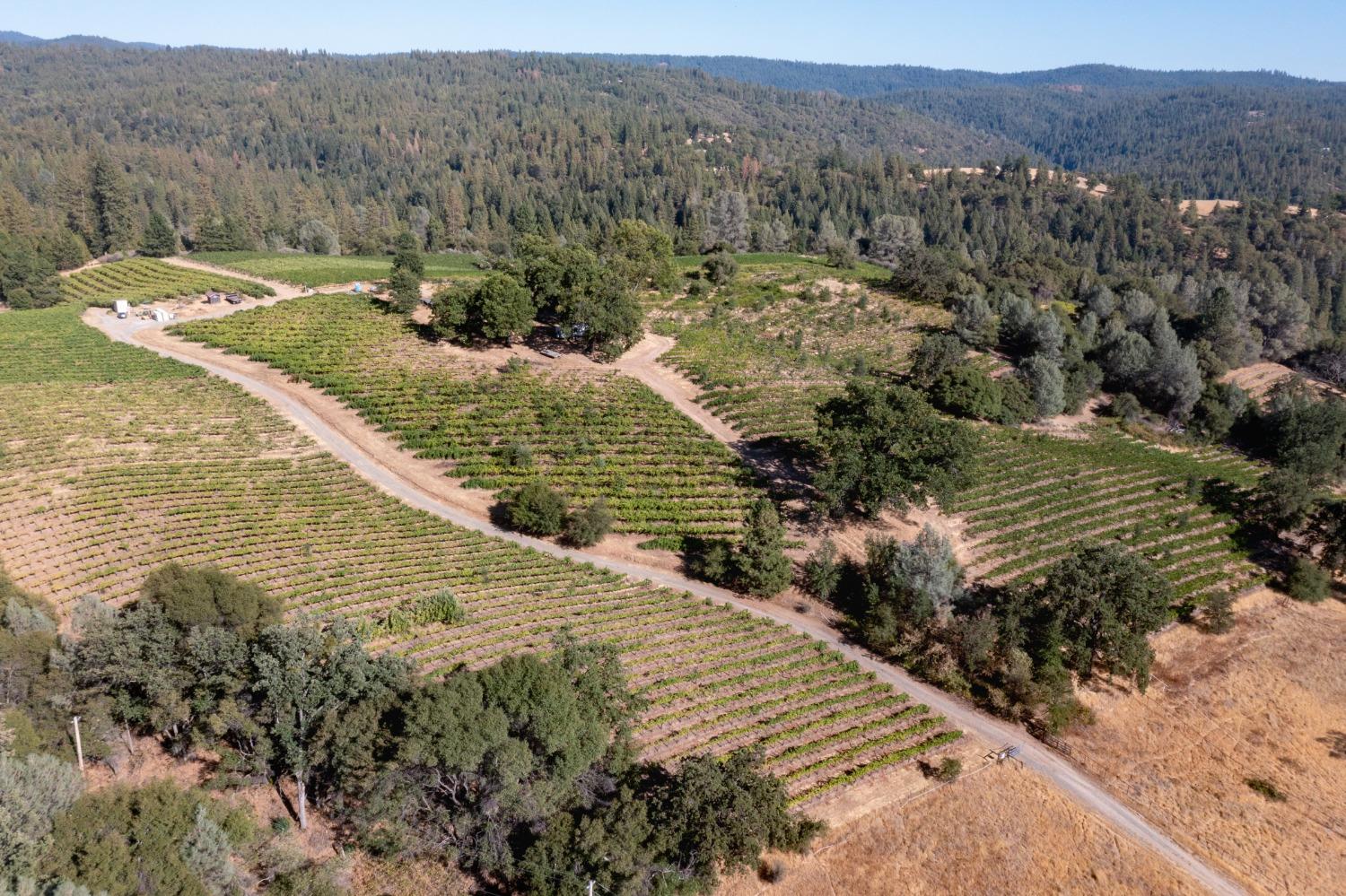Photo of 5200 Butte Creek Rd in Somerset, CA