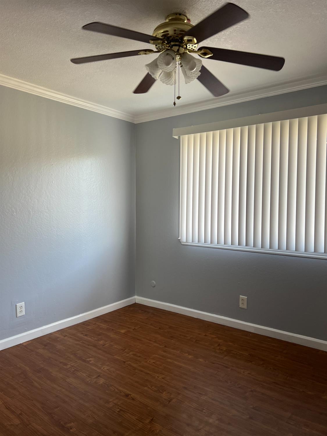 Photo #11: 223093351 Listing 