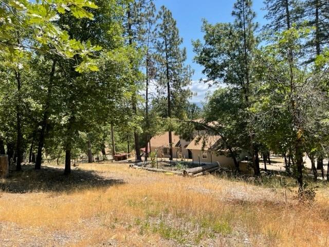 Ernst Road, Coulterville, California image 18
