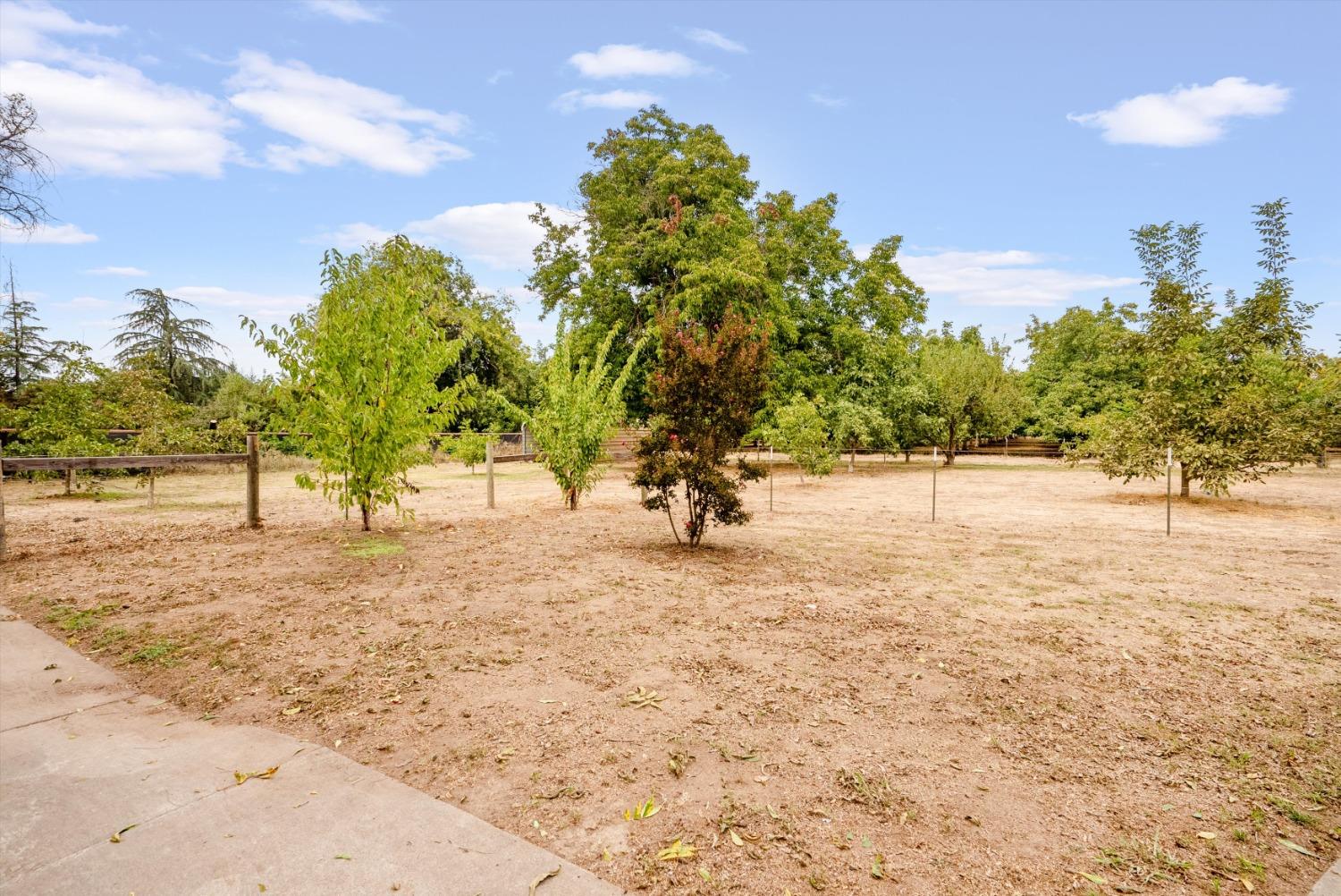 Almond Avenue, Biggs, California image 45