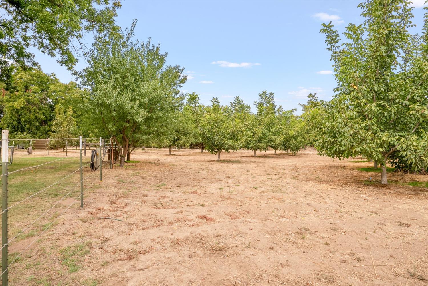 Almond Avenue, Biggs, California image 10