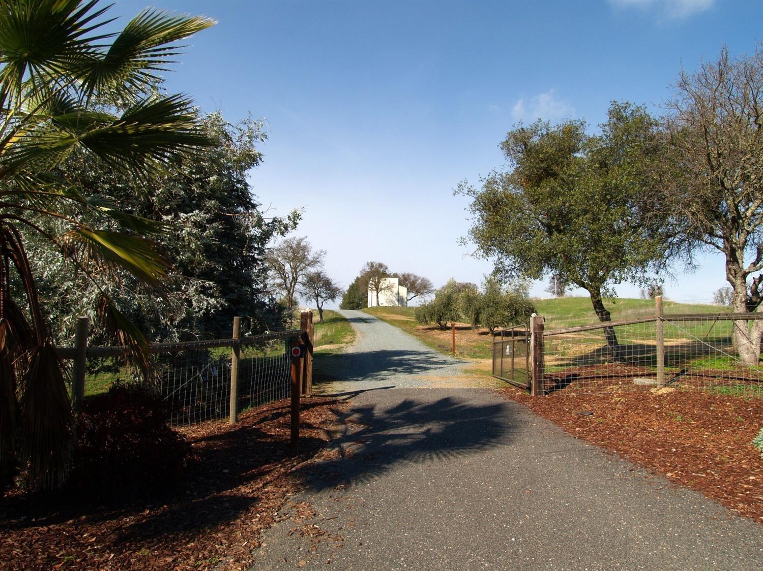 Conestoga Trail, Copperopolis, California image 3