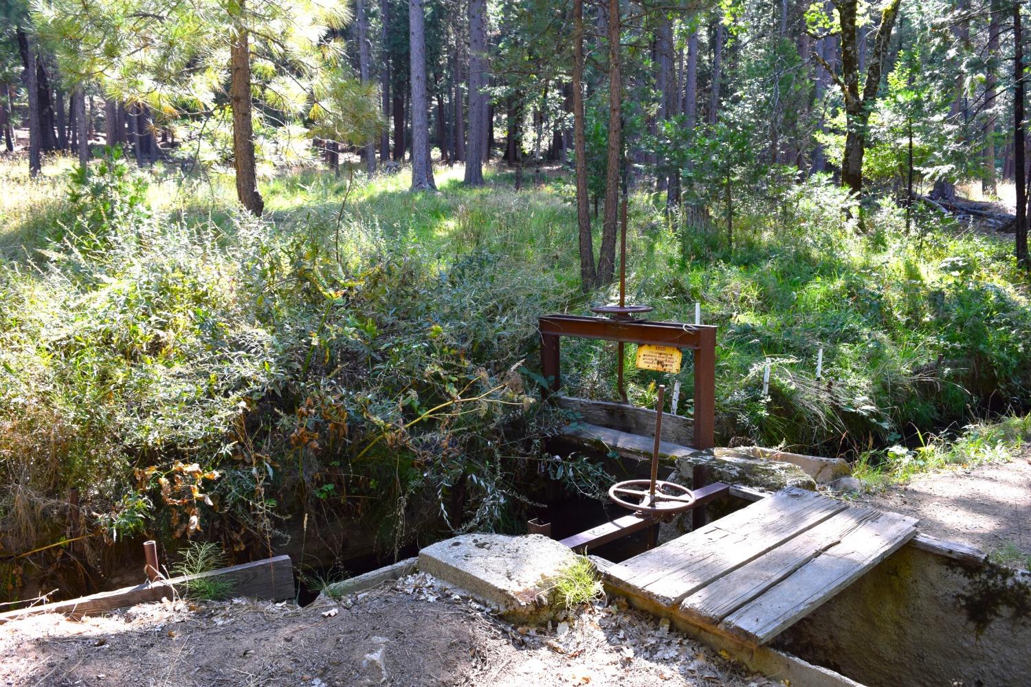 Confidence Road, Twain Harte, California image 5