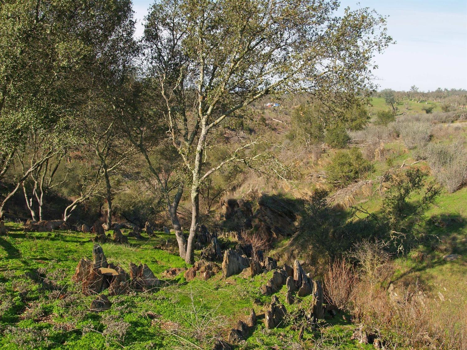 Conestoga Trail, Copperopolis, California image 20