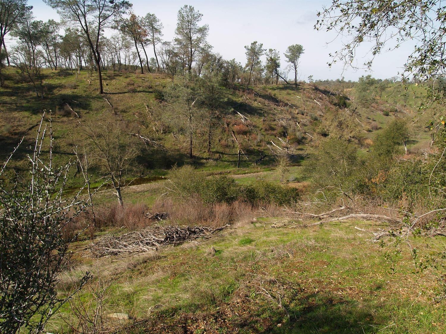 Conestoga Trail, Copperopolis, California image 19