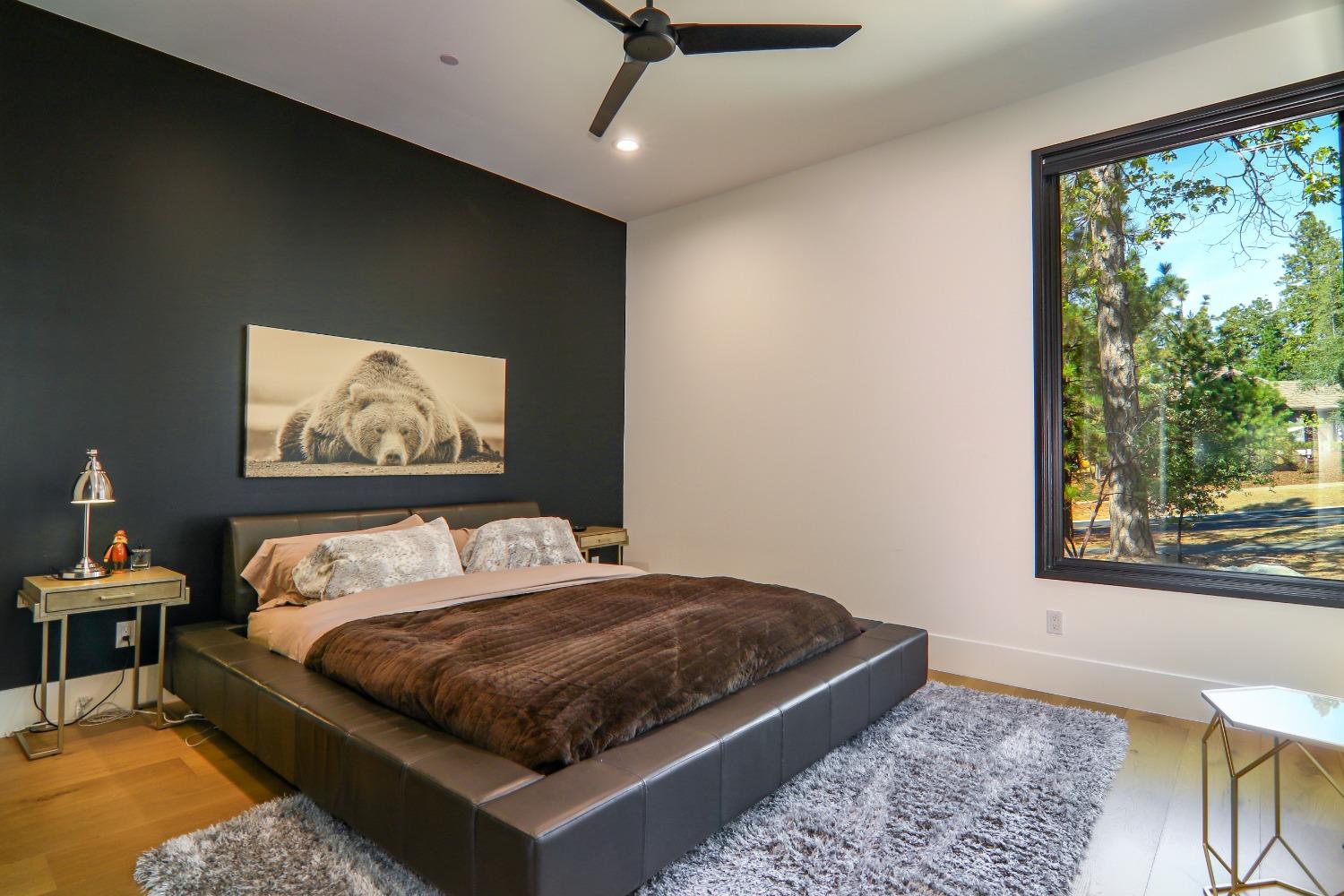 Detail Gallery Image 37 of 89 For 1505 Wood Duck Ln, Meadow Vista,  CA 95722 - 4 Beds | 3/2 Baths