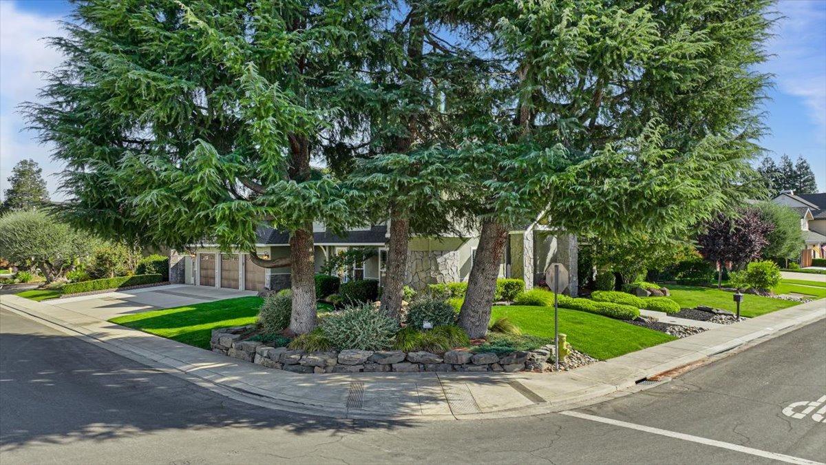 Opal Lane, Ripon, California image 4