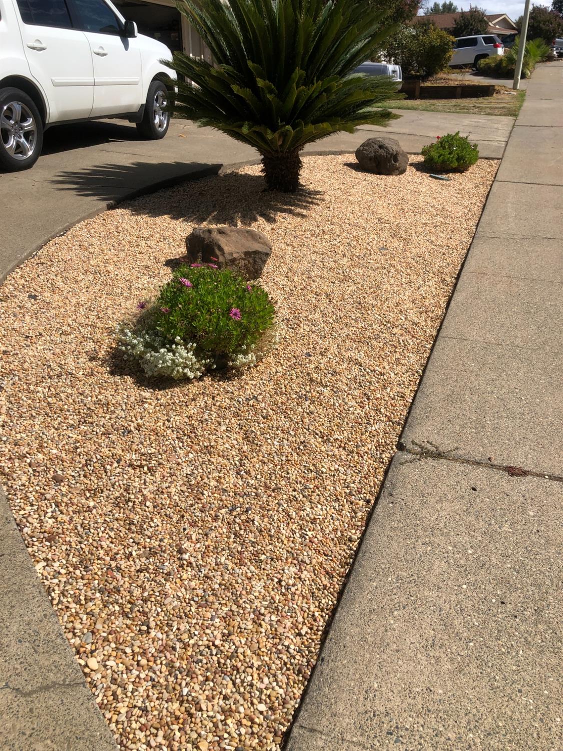 Ridgevale Way, Fair Oaks, California image 3