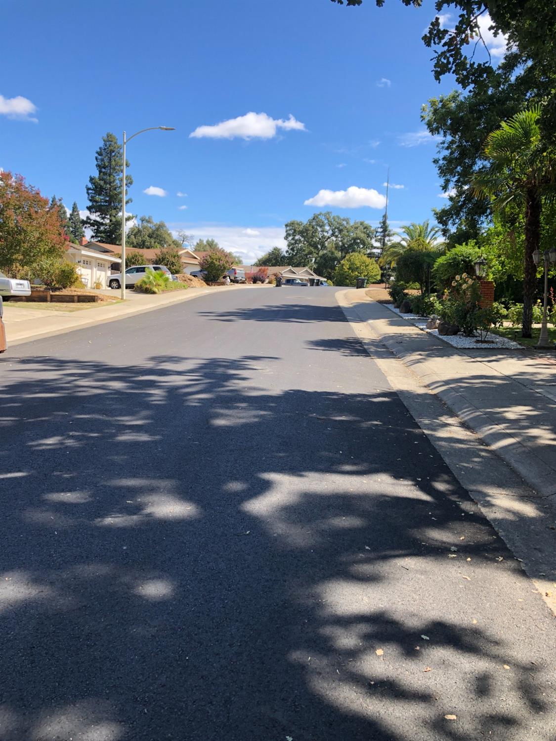 Ridgevale Way, Fair Oaks, California image 8