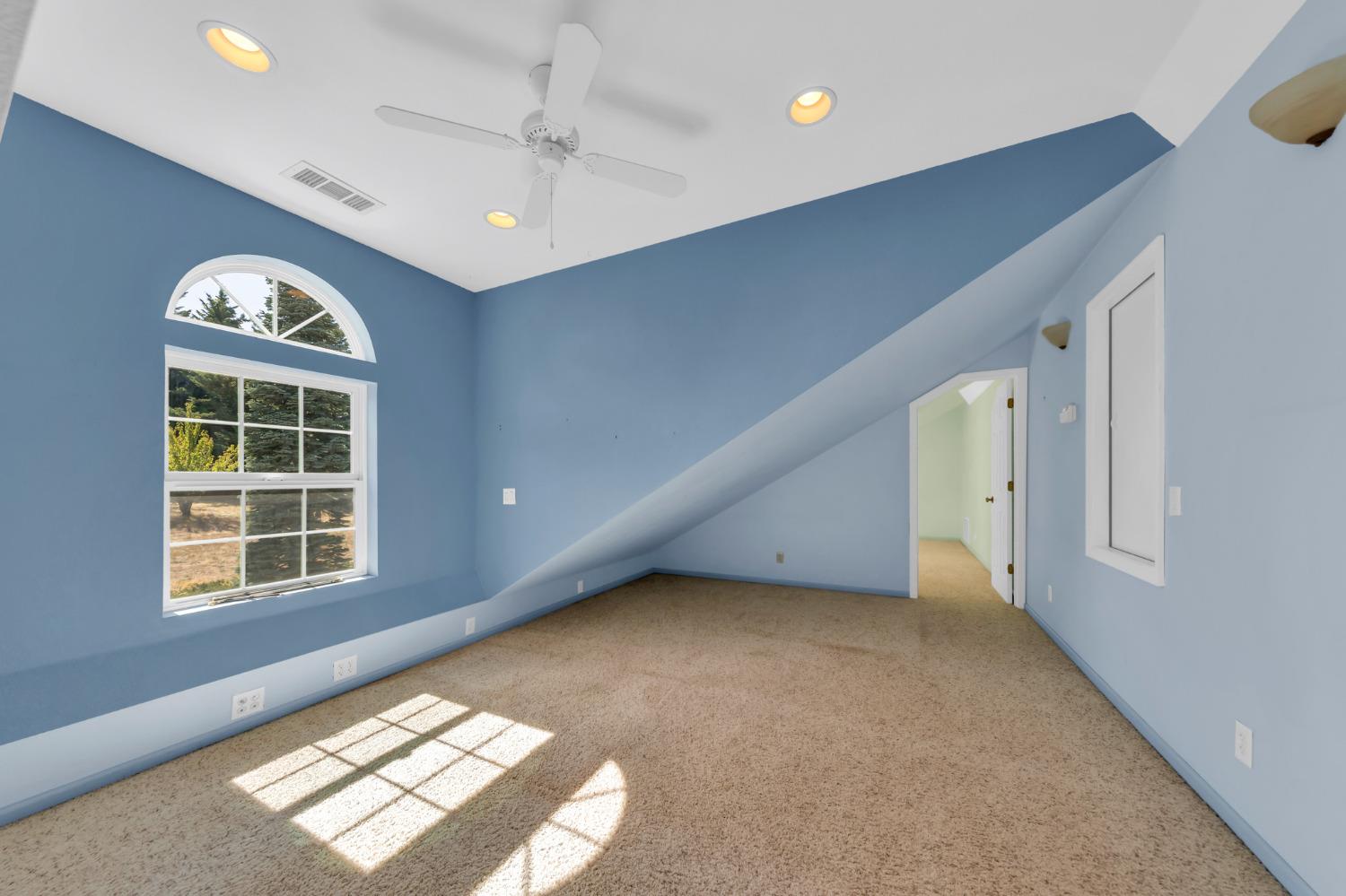 Mace Road, Camino, California image 37