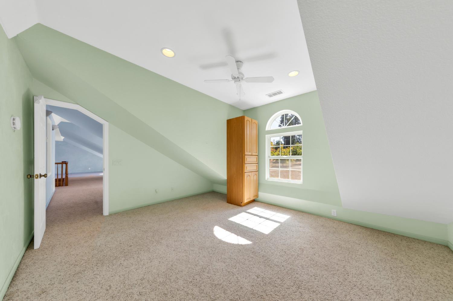 Mace Road, Camino, California image 38
