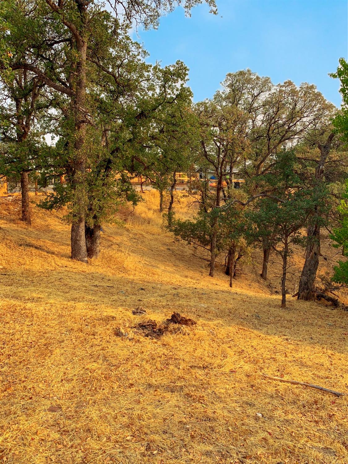 Bonanza King Drive, Cottonwood, California image 3