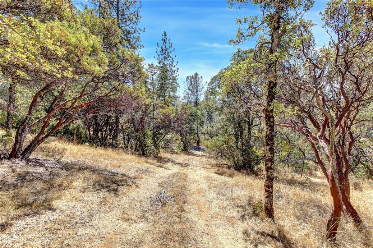 Jeabjo Way, Nevada City, California image 3