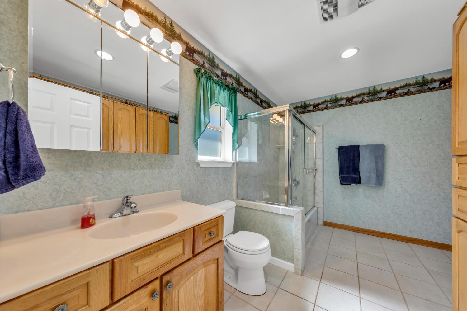 Mace Road, Camino, California image 25