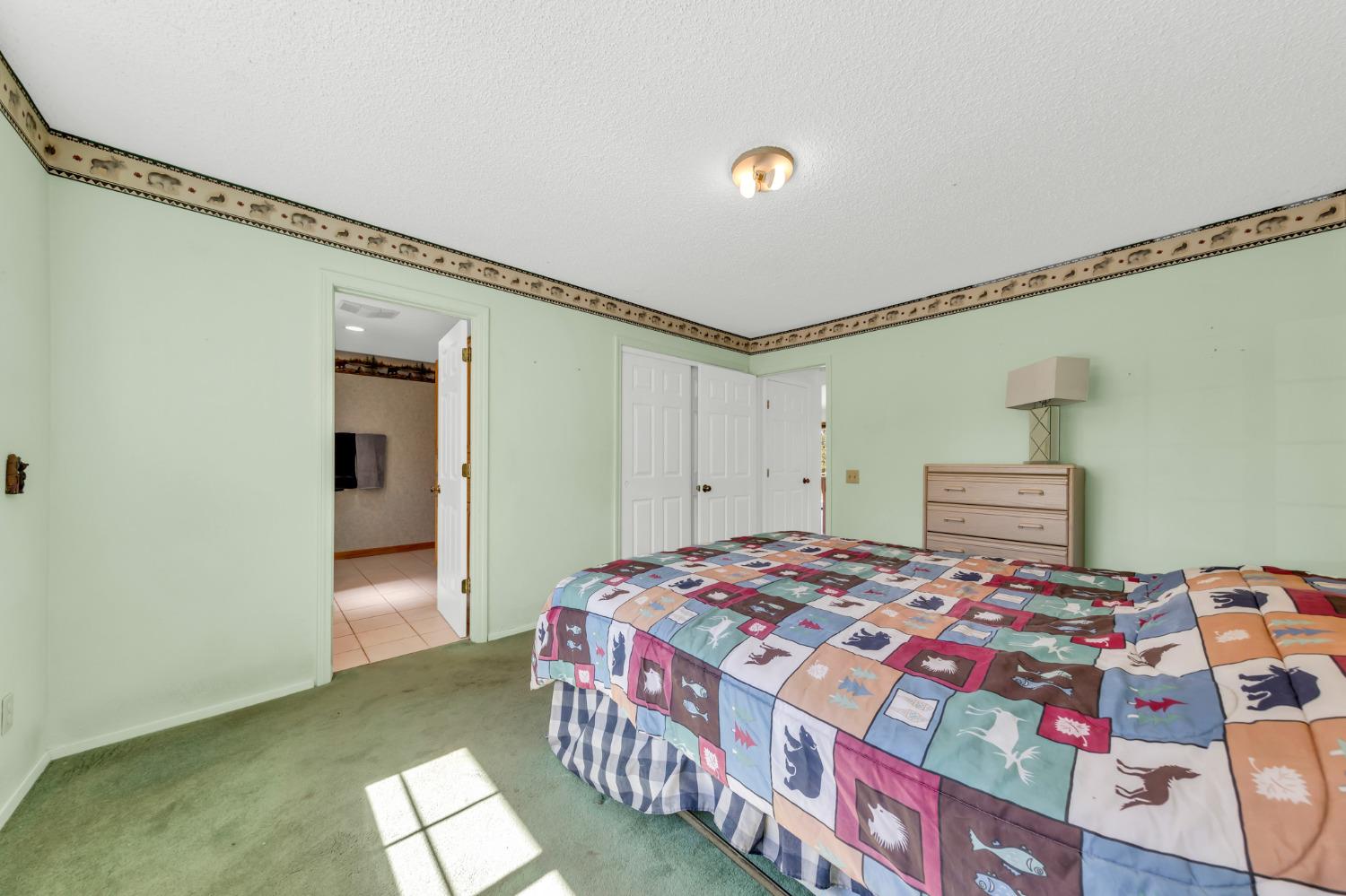 Mace Road, Camino, California image 24
