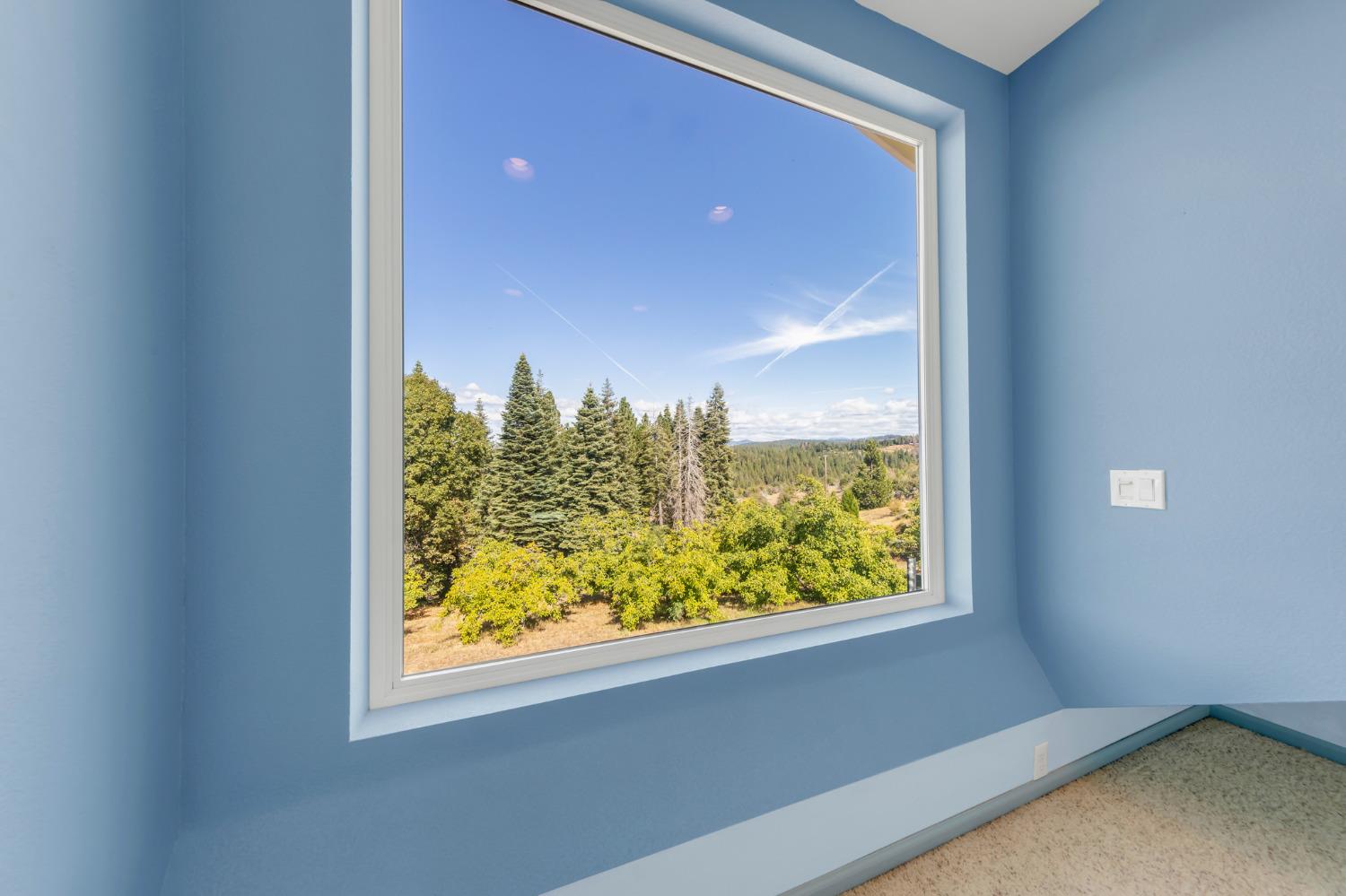 Mace Road, Camino, California image 35