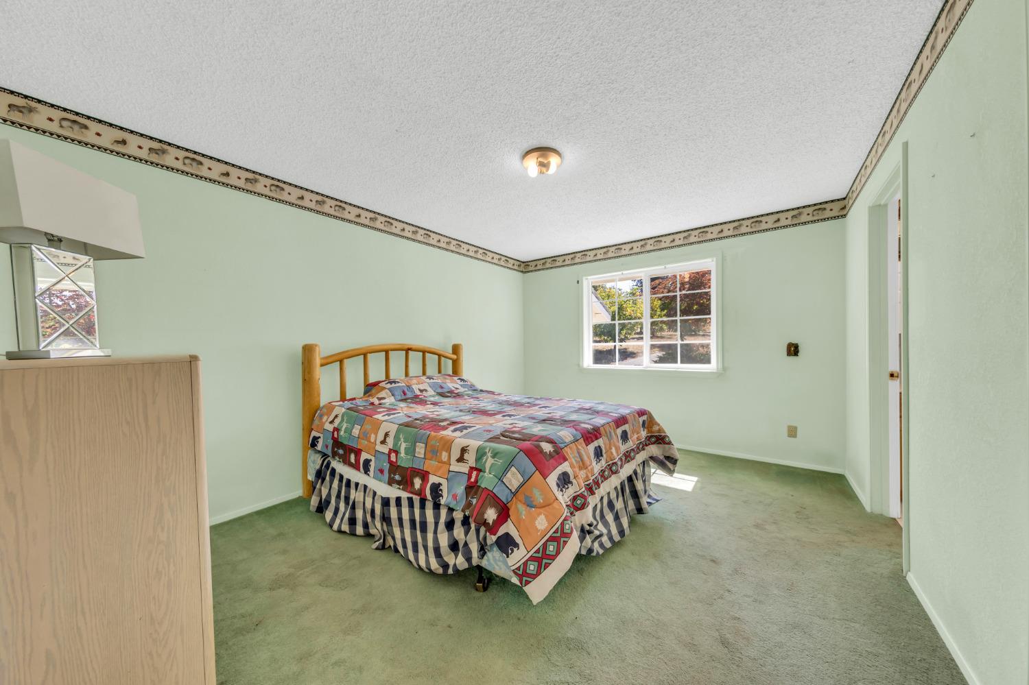 Mace Road, Camino, California image 23