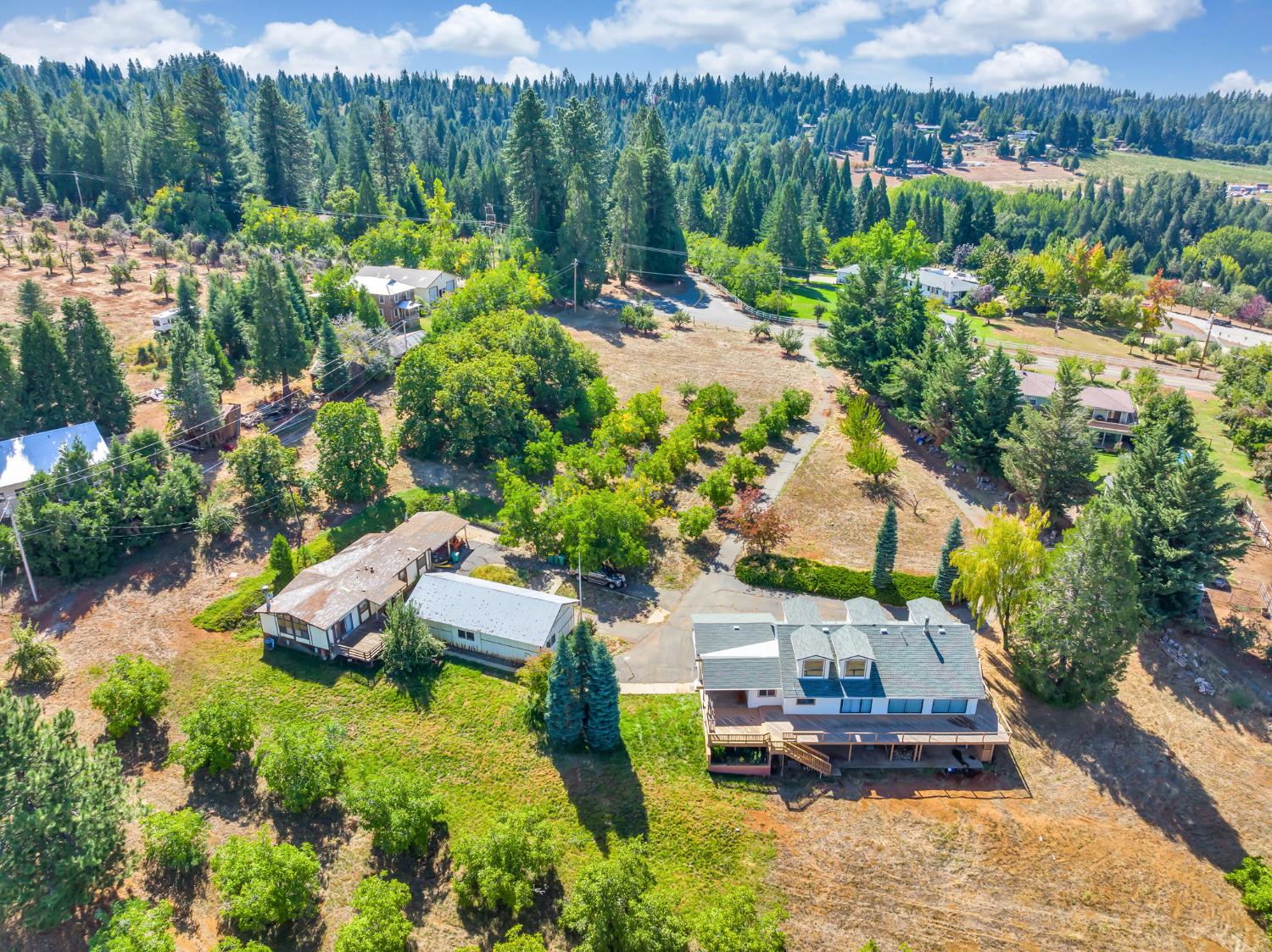 Mace Road, Camino, California image 3