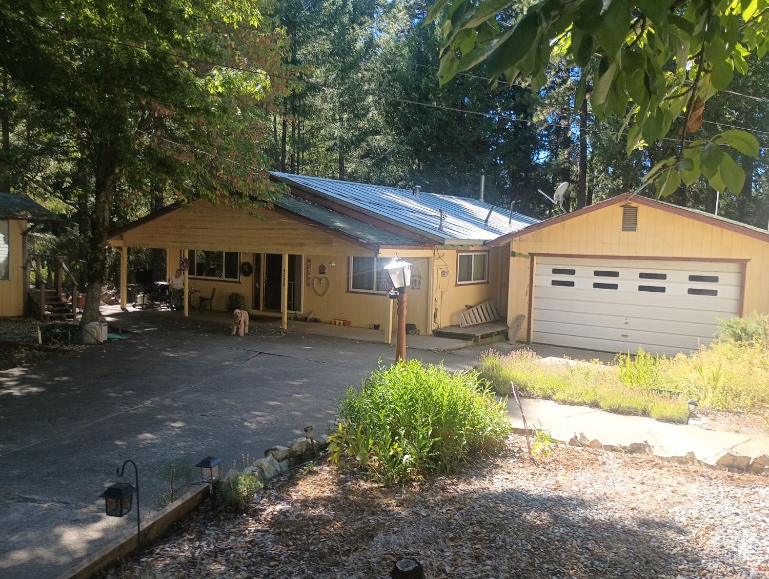 Singing Pines Lane, Placerville, California image 2