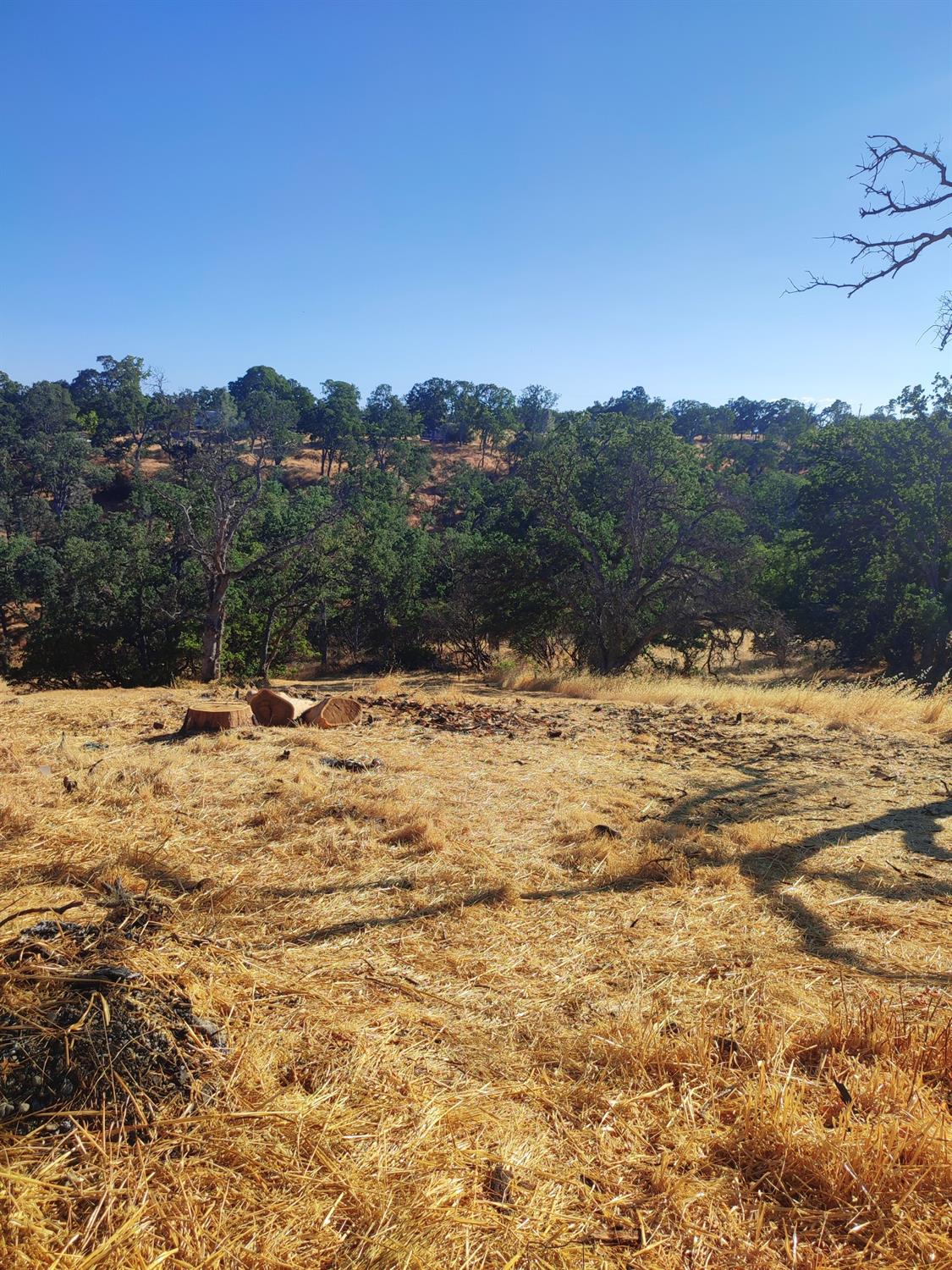 Springfield Point, Corning, California image 13
